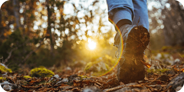 Feet walking in the woods on a path